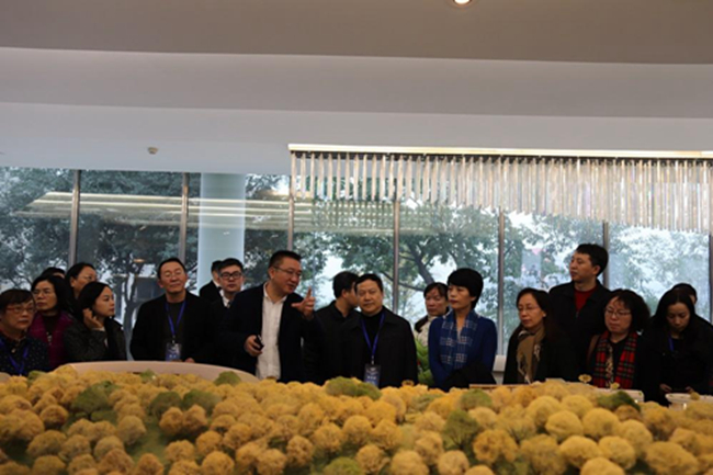 重庆市人口理论专家_市人口计生委主任潘晓阳在綦江县作人口理论专题讲座