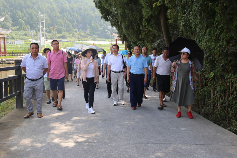 云雾镇人口_云雾镇 茶人会 期间开展非煤矿山检查(3)