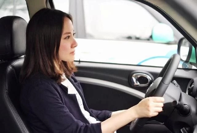 女老总的车(2)