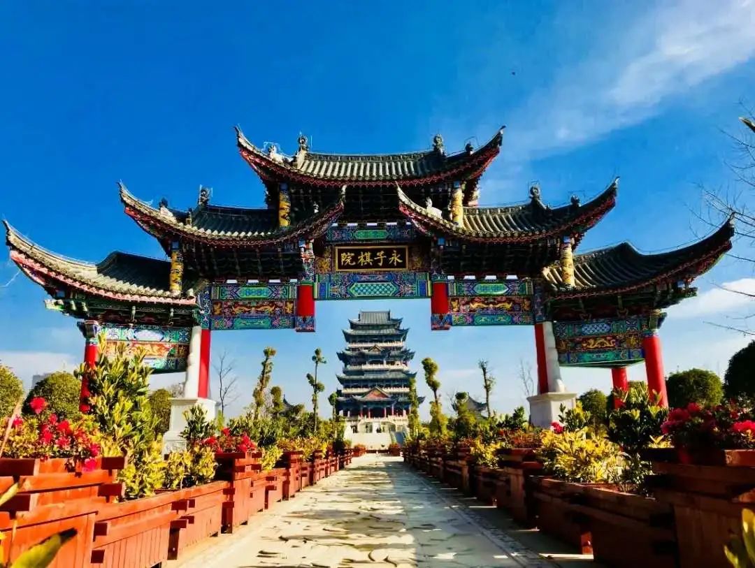 澳洲海归到云南贫困县帮卖玉米,他说那里有很多你想不到!